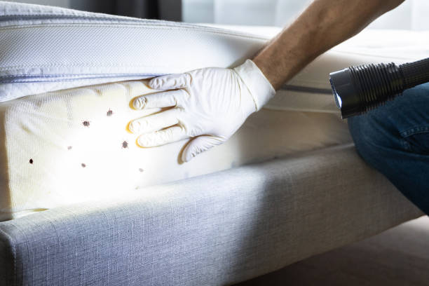 Best Mosquito Control Services  in Merriam Woods, MO